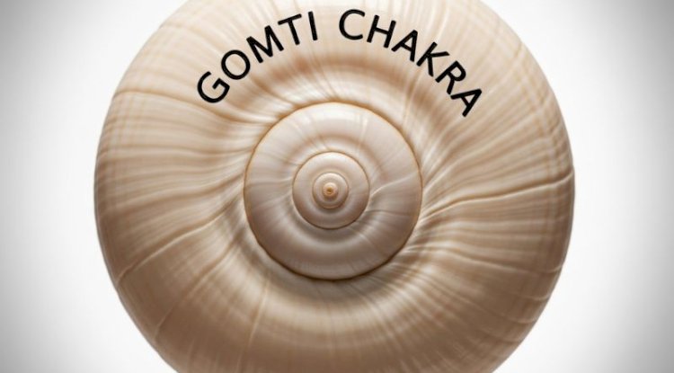 Gomti Chakra for Protection, Prosperity, and Peace