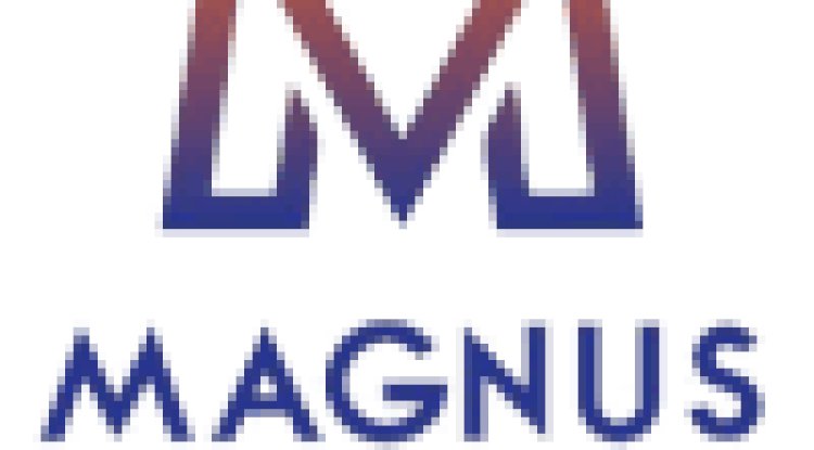 Top Ready Mix Plaster Manufacturers in India – Magnus Ventures