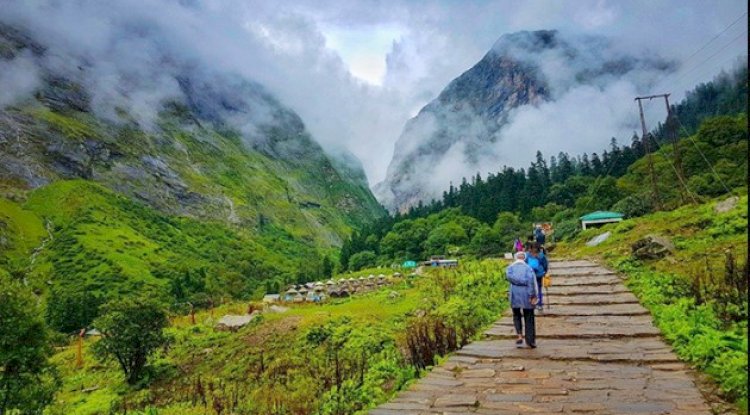 Is the Valley of Flowers Trek Worth It with Himalaya Tribe?