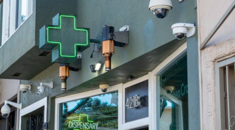 Discovering the Best Recreational Cannabis Dispensary Near Me