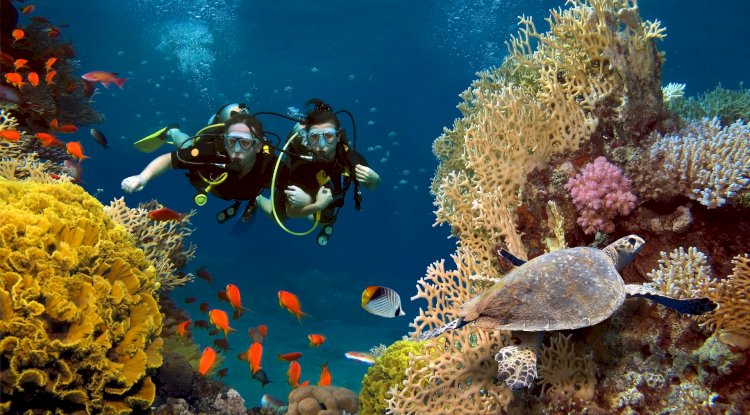 Scuba Diving in Dubai: Dive into the Depths of the Desert Jewel