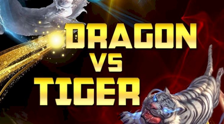  7 Winning Dragon Tiger Betting ID Strategies in India