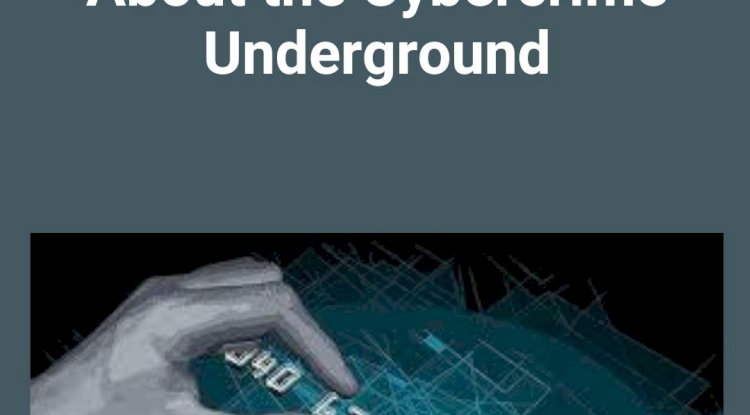 Briansclub: What the Infamous Data Leak Reveals About the Cybercrime Underground