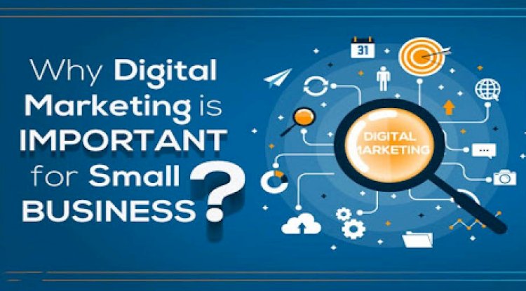 Leveraging Success: 5 Key Reasons Digital Marketing is Important for Every Business