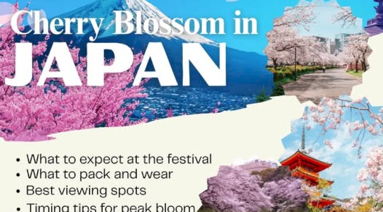 Best Japan Tours for Families – Safe, Fun & Full of Cultural Surprises