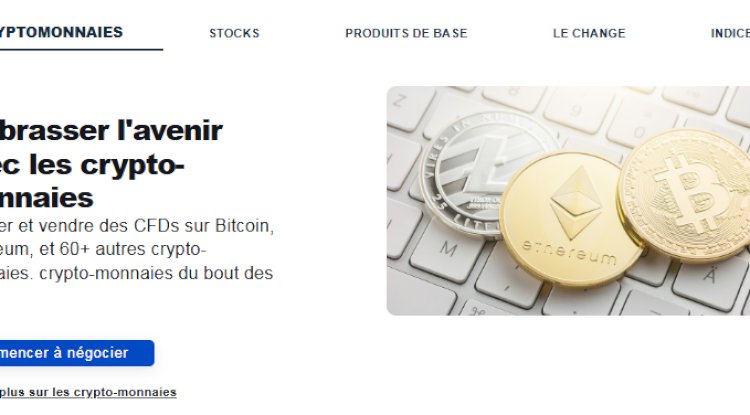 tadeero reviews 