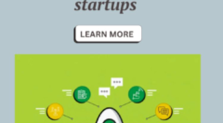  How to Create a Startup Budget: A Finance Guide