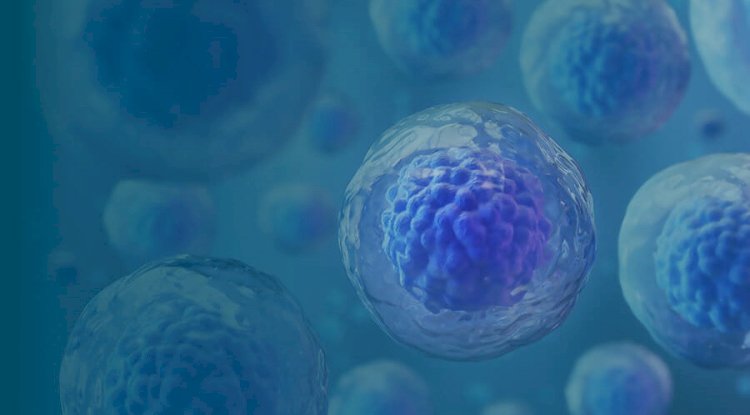 What Are the Benefits of Stem Cell Therapy?