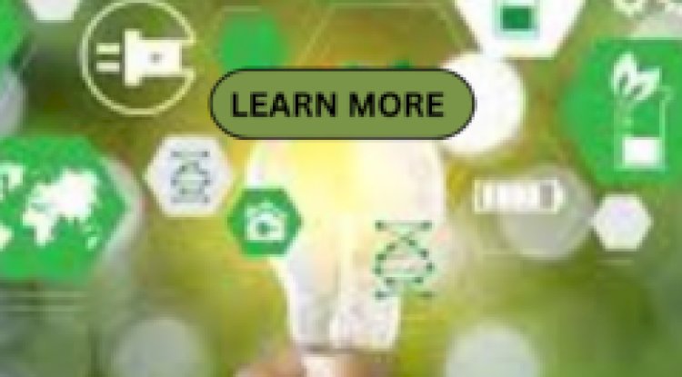  The Ultimate Guide to Starting a Green Business  