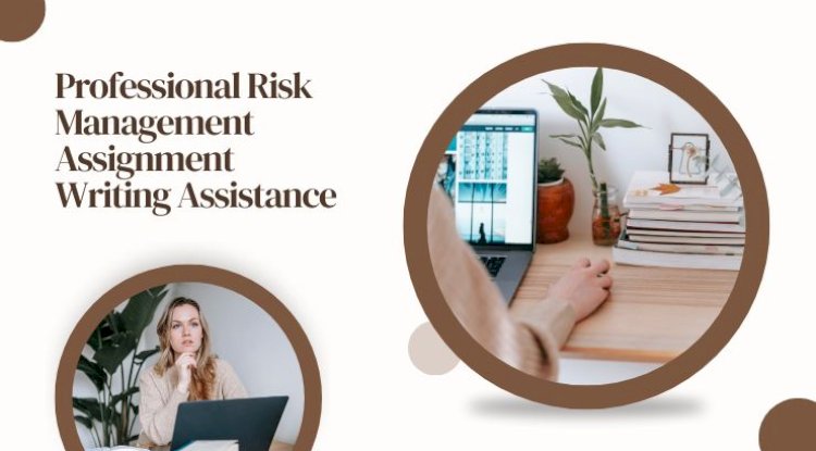 Professional Risk Management Assignment Writing Assistance