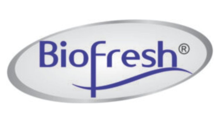 "Why Bio Fresh Incense is the Leading Incense Stick Manufacturer for Quality & Purity"