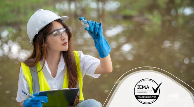 What are IEMA Environmental Sustainability Skills for Managers?
