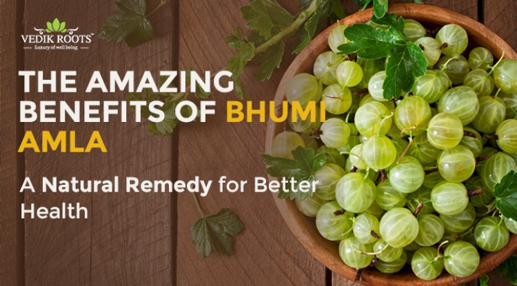 The Amazing Benefits of Bhumi Amla: A Natural Remedy for Better Health