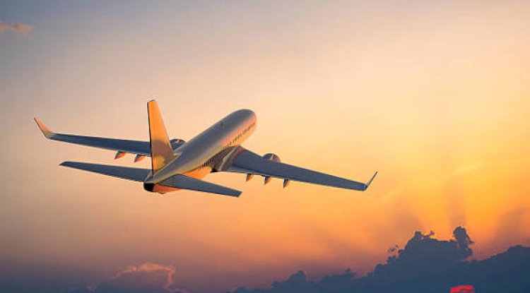 What Is SkyCot On Delta Airlines?