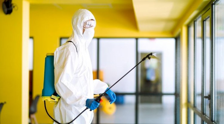 Pest Control Airdrie: Protecting Your Home from Unwanted Guests