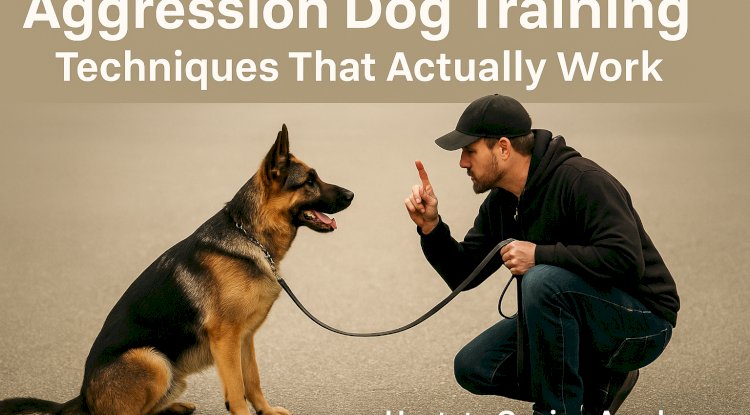 Aggression Dog Training Techniques That Actually Work
