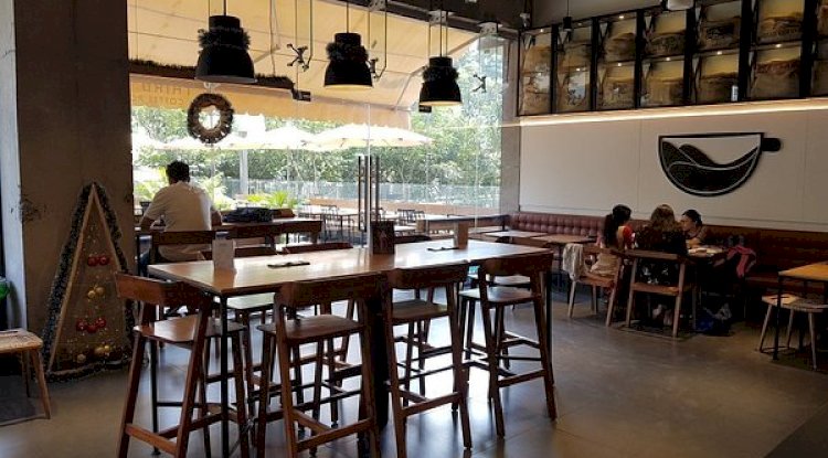 Why Are More People Choosing Cafes Over Offices?