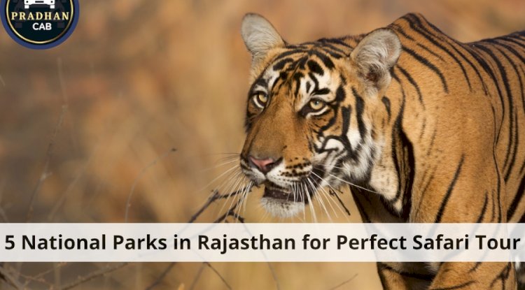 5 National Parks in Rajasthan for Perfect Safari Tour