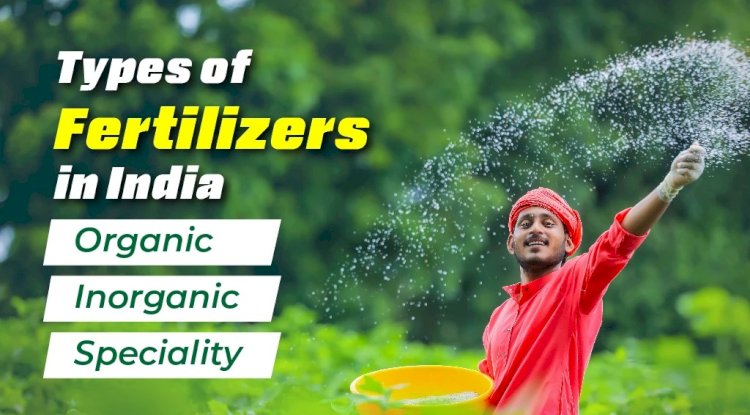 Discover the types of Fertilisers in India