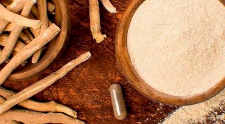 Establishing a Ashwagandha Powder Manufacturing Plant Report 2025, Project Cost Details