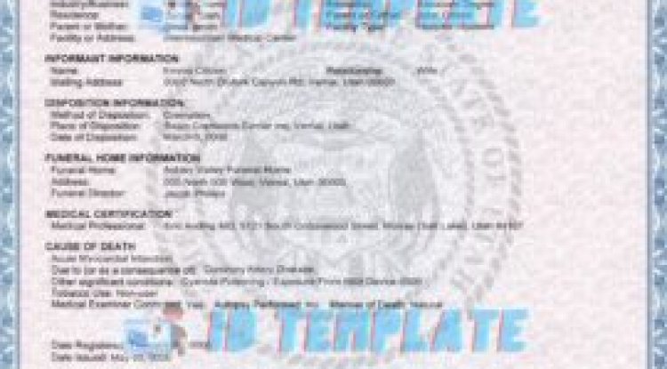 Free Drivers License Template & Blank Texas Birth Certificate