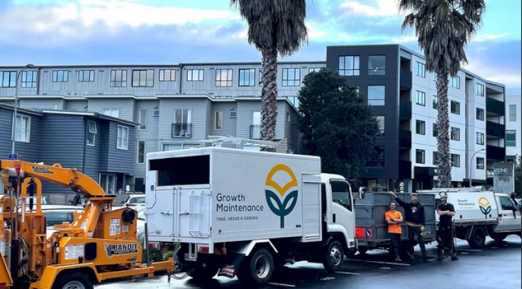 Arborist  Auckland