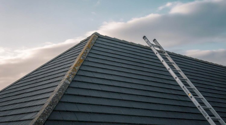 How to Choose the Right Roof and Leak Repair Service in NZ