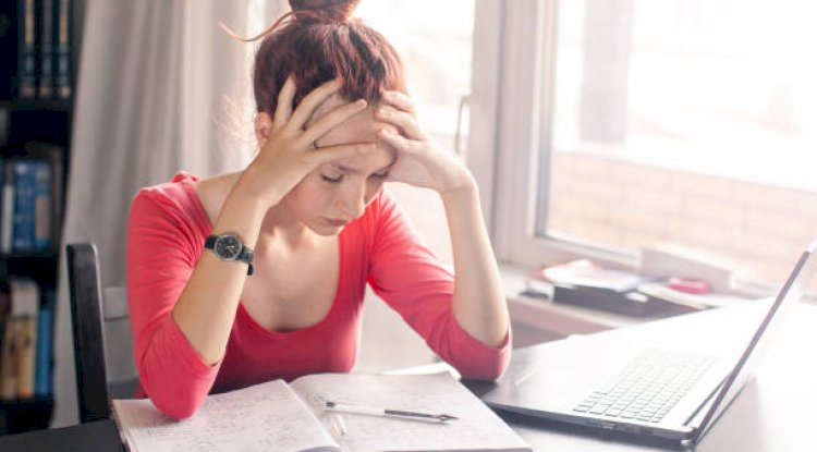 Your Dissertation Partner from Start to Finish