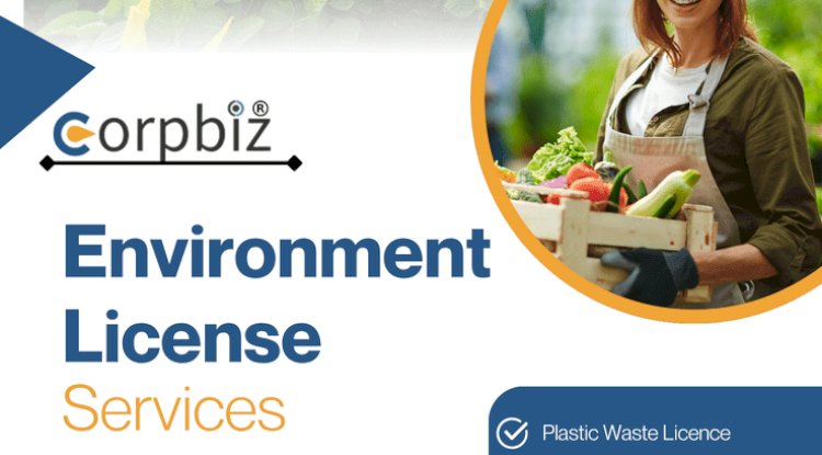 Top Company Incorporation Made Easy: A Step-by-Step Guide for 2025