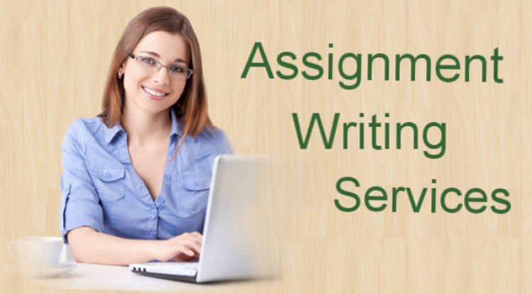 How Help on Assignments Contributes to Academic Excellence