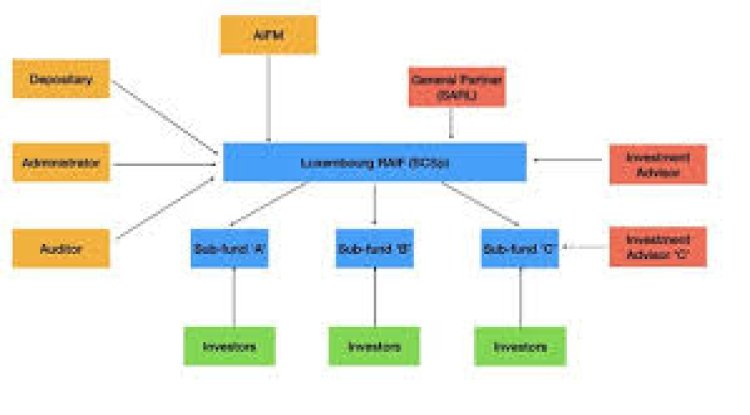 Best Fund Lifecycle Management Providers
