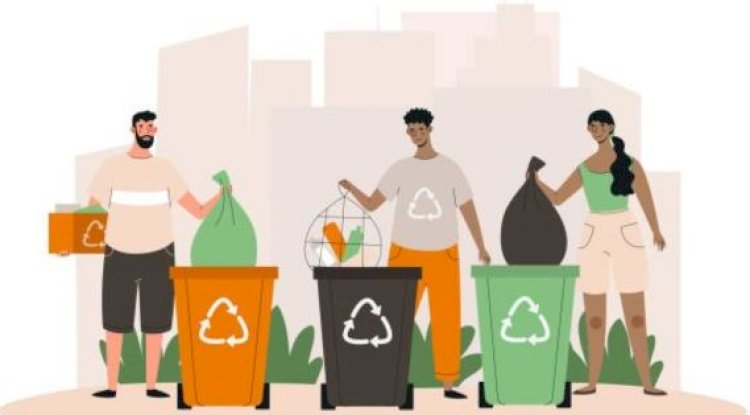 Commercial Waste Collection: How Technology is Transforming the Industry