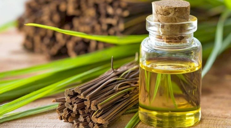 Essential Oil Bulk Suppliers: Choosing the Right Partner for Your Business