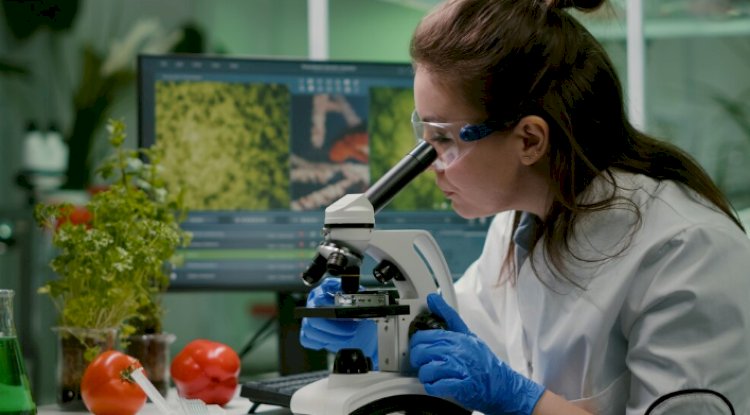 What Makes a Protein Analysis Lab Stand Out in Quality and Precision?