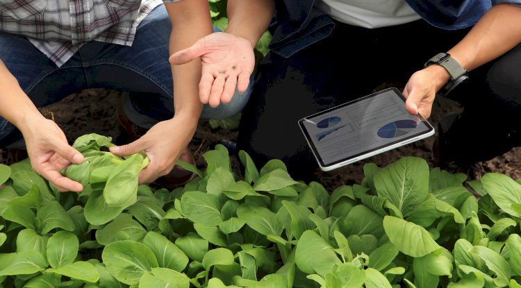 Boost Efficiency with TopGreen: The Power of Crew Performance Insights Software
