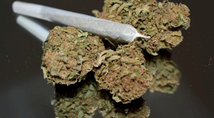 How Can You Find the Best Weed Dispensary DC Today?
