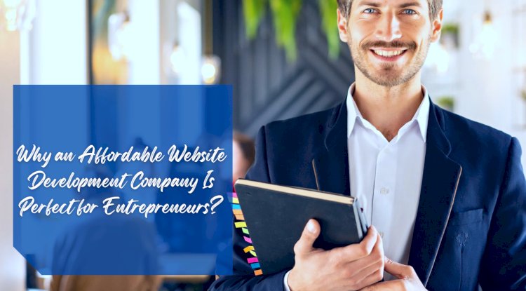 Why an Affordable Website Development Company Is Perfect for Entrepreneurs?