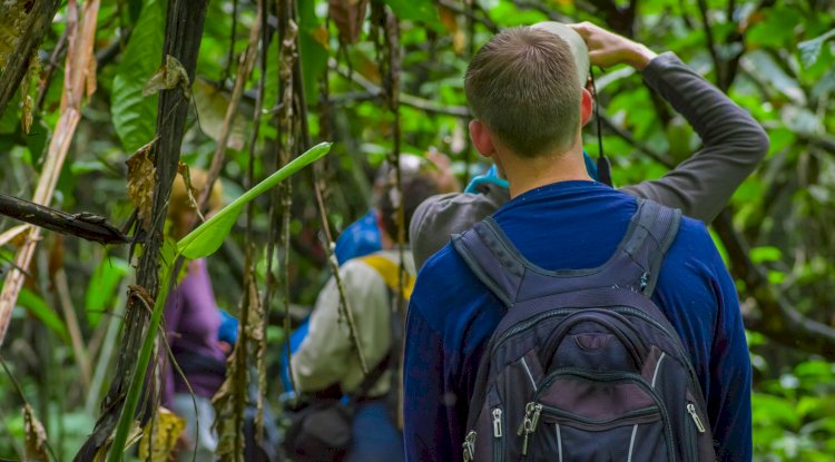 Ultimate Uganda Gorilla Trekking Guide
