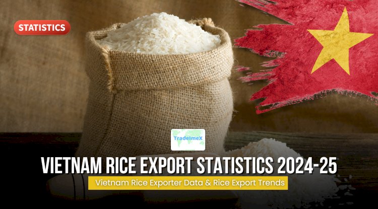 US Rice Export: Trends, Buyers, and Market Outlook 2024–25