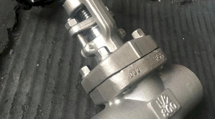 Check Valve Supplier in India