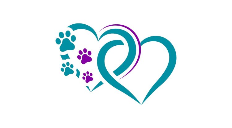 The Impact of Pet Euthanasia on Other Pets in the Household