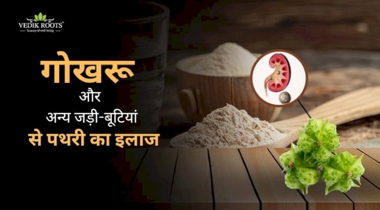 गोखरू और अन्य जड़ी-बूटियां से पथरी का इलाज 