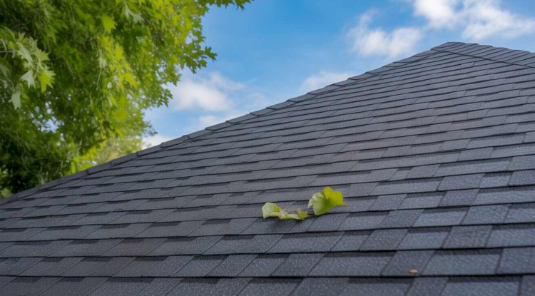 The Ultimate Guide to Choosing the Right Roofing Solution in Auckland