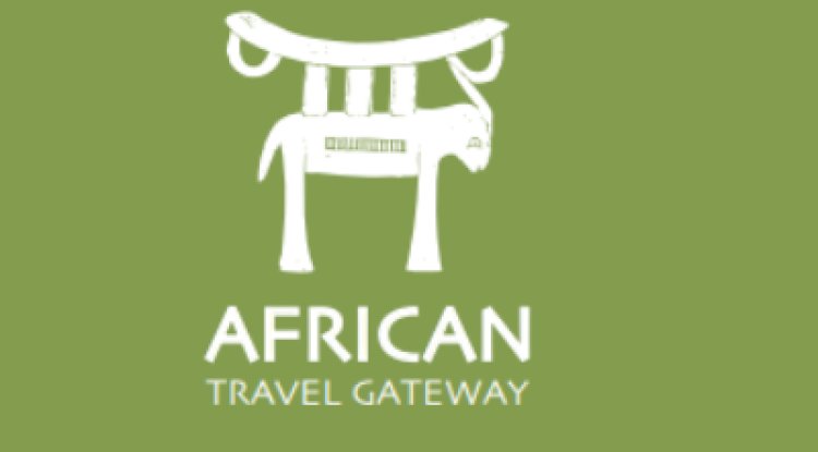 Discover the Magic of the Wild: Unforgettable Safari Adventures in Africa
