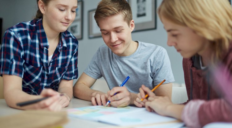 How Can You Safely Hire Someone to Take Your PMP Exam Online?
