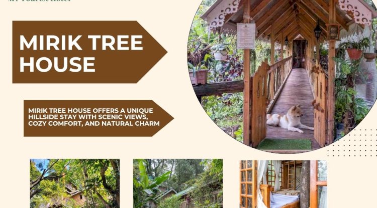Mirik Tree House Stay – Experience Comfort at My Tourist Hotel