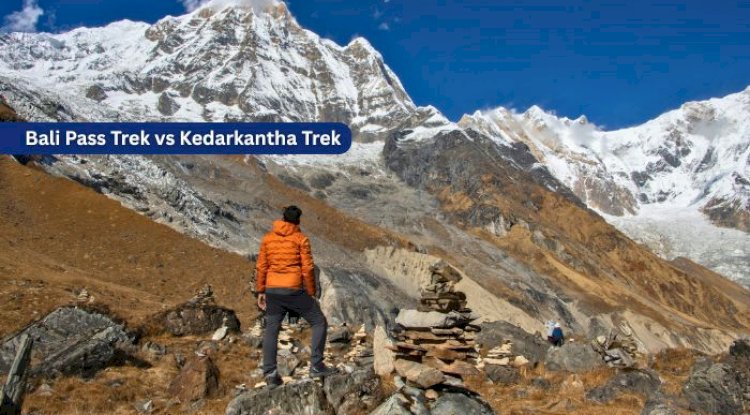 Bali Pass Trek vs Kedarkantha Trek