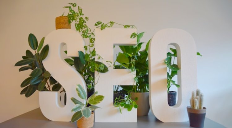 Top Benefits of Hiring Expert SEO Services in Pakistan for Small Businesses