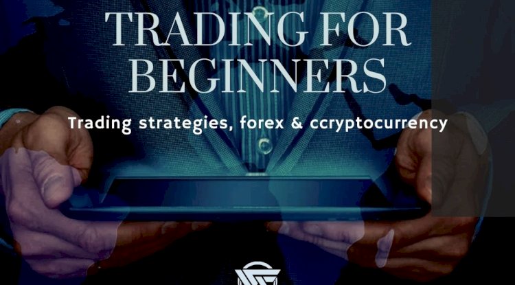 Forex Trading for Beginners: Stepwise Market Entry