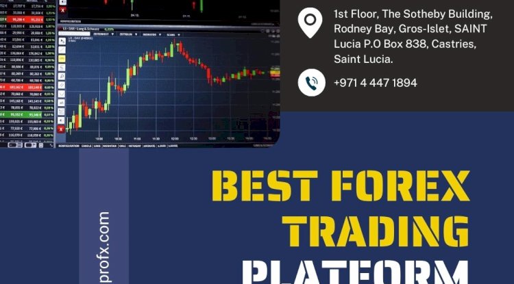 How the Best Forex Trading Platform in India Operates